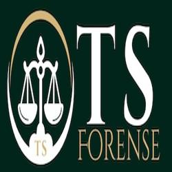 Logo TsForense